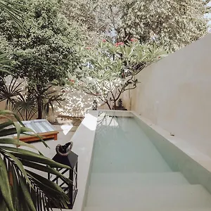 Boutique Kaa Couette-café