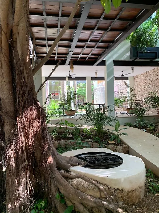 Treehouse Boutique Hotel, An Adults Only Boutique Hotel Mérida