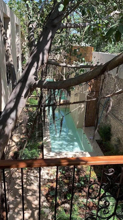 Treehouse Boutique Hotel, An Adults Only Boutique Hotel Mérida 0*,